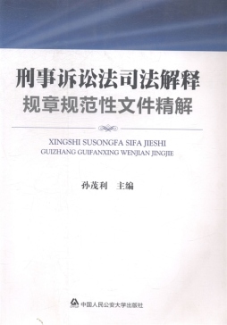刑事诉讼法司法解释规章规范性文件精解封面图