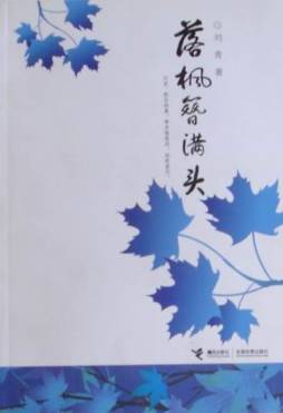 落枫簪满头封面图