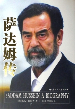 萨达姆传封面图