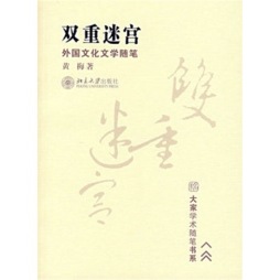 双重迷宫封面图