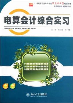 电算会计模拟实习封面图