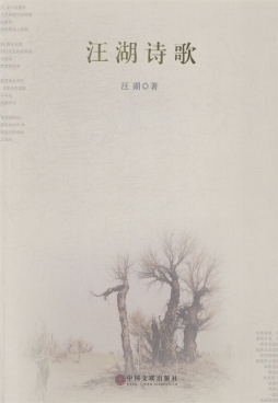 汪湖诗歌封面图