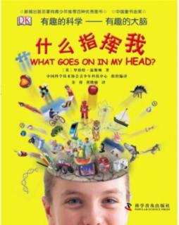 有趣的大脑封面图