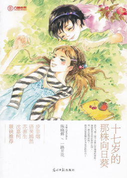 十七岁的那株向日葵封面图