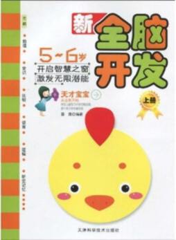 新全脑开发封面图