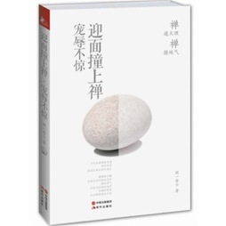 迎面撞上禅封面图