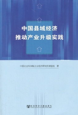 中国县域经济推动产业升级实践封面图