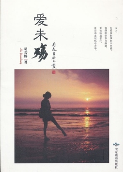 爱未殇封面图