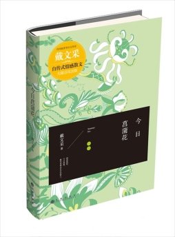 今日菖蒲花封面图