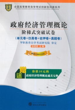 政府经济管理概论阶梯式突破试卷封面图