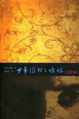 少年维特之烦恼封面图