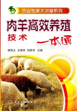肉羊高效养殖技术一本通封面图