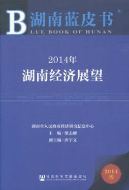 2014年湖南经济展望封面图