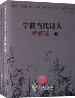 宁波当代诗人诗歌选封面图
