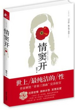 情窦开封面图