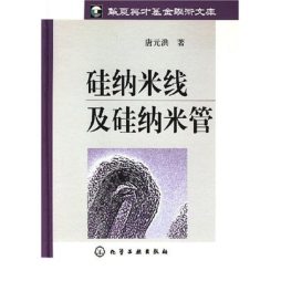 硅纳米线及硅纳米管封面图