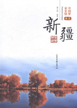 我爱新疆封面图