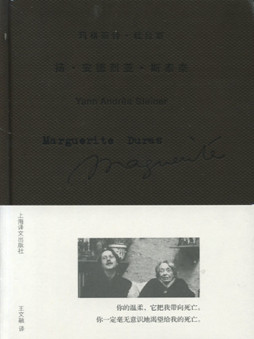 扬·安德烈亚·斯泰奈封面图