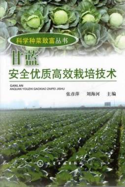 甘蓝安全优质高效栽培技术封面图