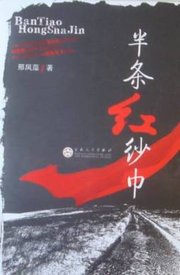 半条红纱巾封面图