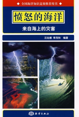 愤怒的海洋封面图