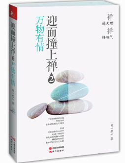 迎面撞上禅封面图