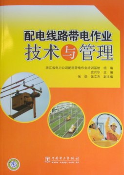 配电线路带电作业技术与管理封面图