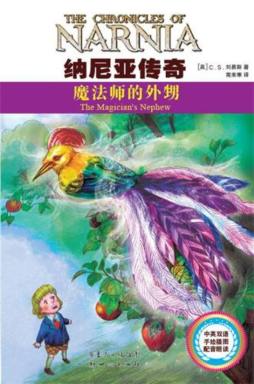 魔法师的外甥封面图