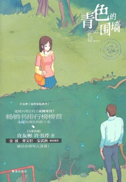 青色的围墙封面图