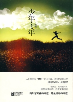 少年之年封面图