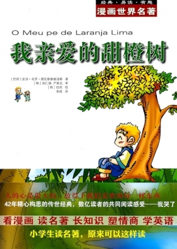 我亲爱的甜橙树封面图