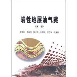 岩性地层油气藏勘探理论与评价技术封面图