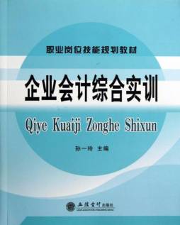 企业会计综合实训封面图