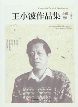 王小波作品集封面图