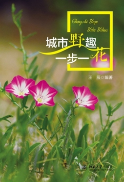 城市野趣封面图