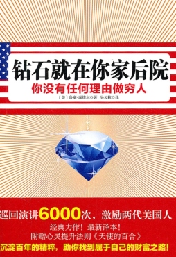 钻石就在你家后院封面图