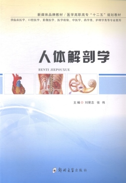 人体解剖学封面图