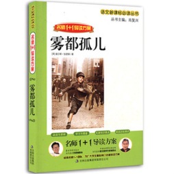 雾都孤儿封面图