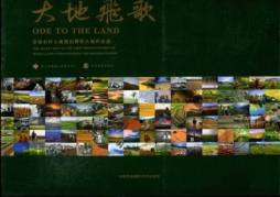 大地飞歌封面图