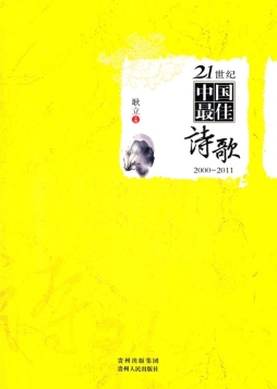 21世纪中国最佳诗歌封面图