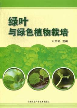 绿叶与绿色植物栽培封面图