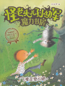 飞檐走壁的猫封面图