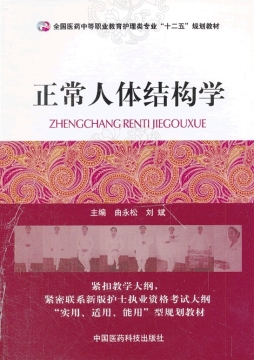 正常人体结构学封面图