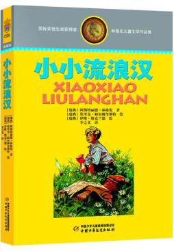 小小流浪汉封面图