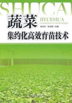 蔬菜集约化高效育苗技术封面图