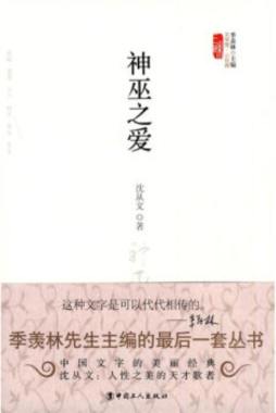 神巫之爱封面图