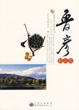 鲁彦精品集封面图