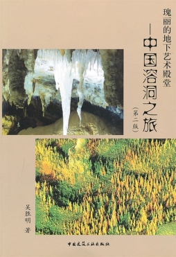 瑰丽的地下艺术殿堂封面图
