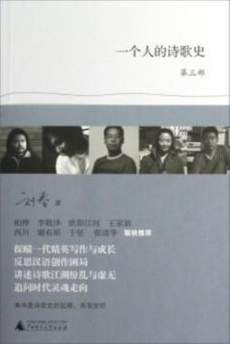 一个人的诗歌史封面图