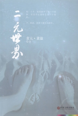 二元世界封面图